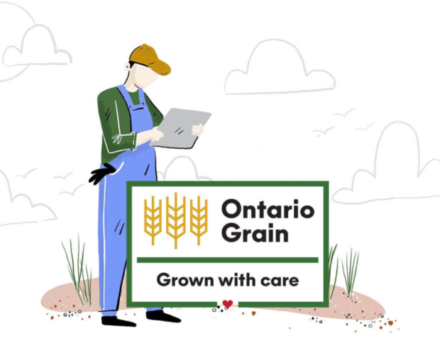 Illustration of a man looking at a tablet while standing in a field of crops with the words Ontario Grain Grown with care overtop