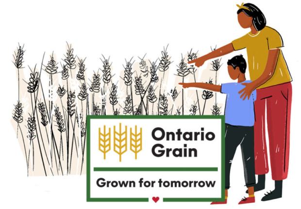 illustration of a woman showing a child a field of grain with the words Ontario Grain Grown for tomorrow on top